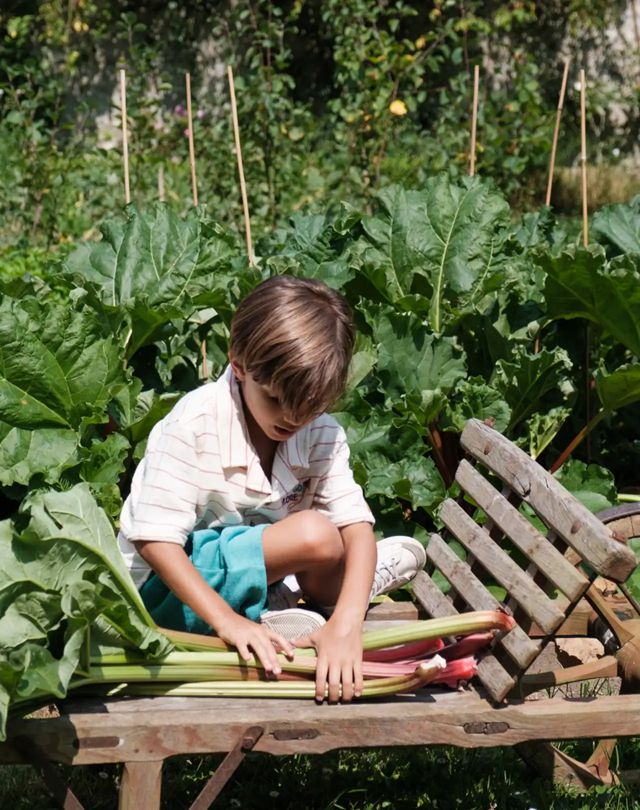 Atelier permaculture : une immersion sensorielle au Domaine de Primard ...