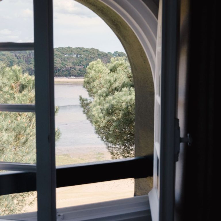 vue lac depuis la chambre Hortense sous les toits de la maison principale des Hortensias du lac