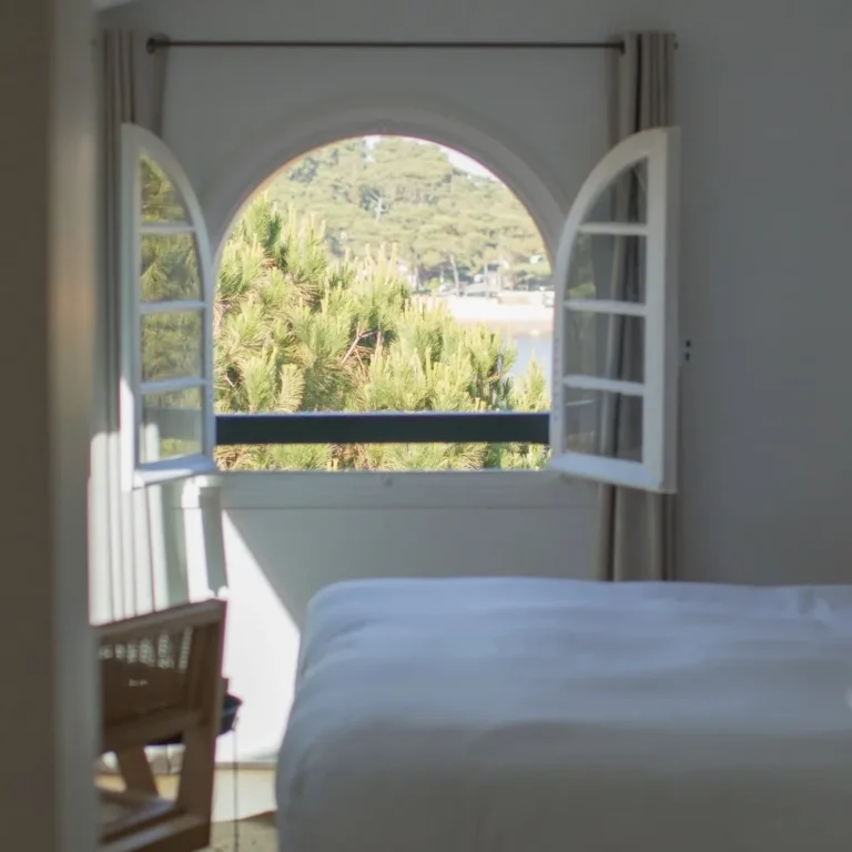 vue lac depuis fenêtre de la chambre Hortense sous les toits de la maison des Hortensias